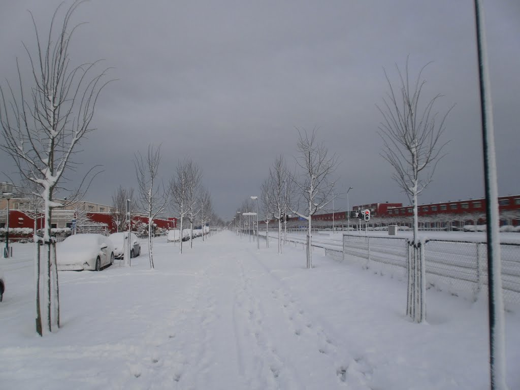 Sneeuw in de Regenboogbuurt Almere-Buiten by harold40