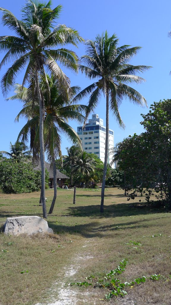 Palms and Hotel Sunbeach. Varadero. Cuba by zhsv