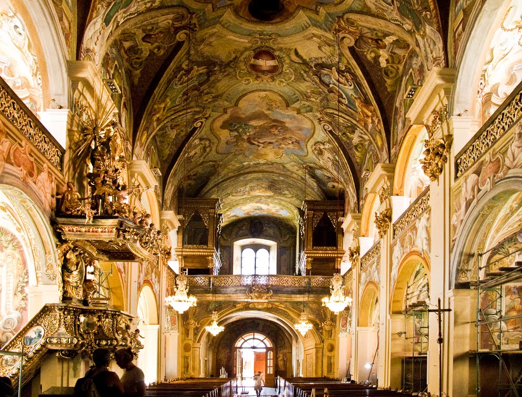 Stiftskirche Vorau, Baustelle by gerhard weiss