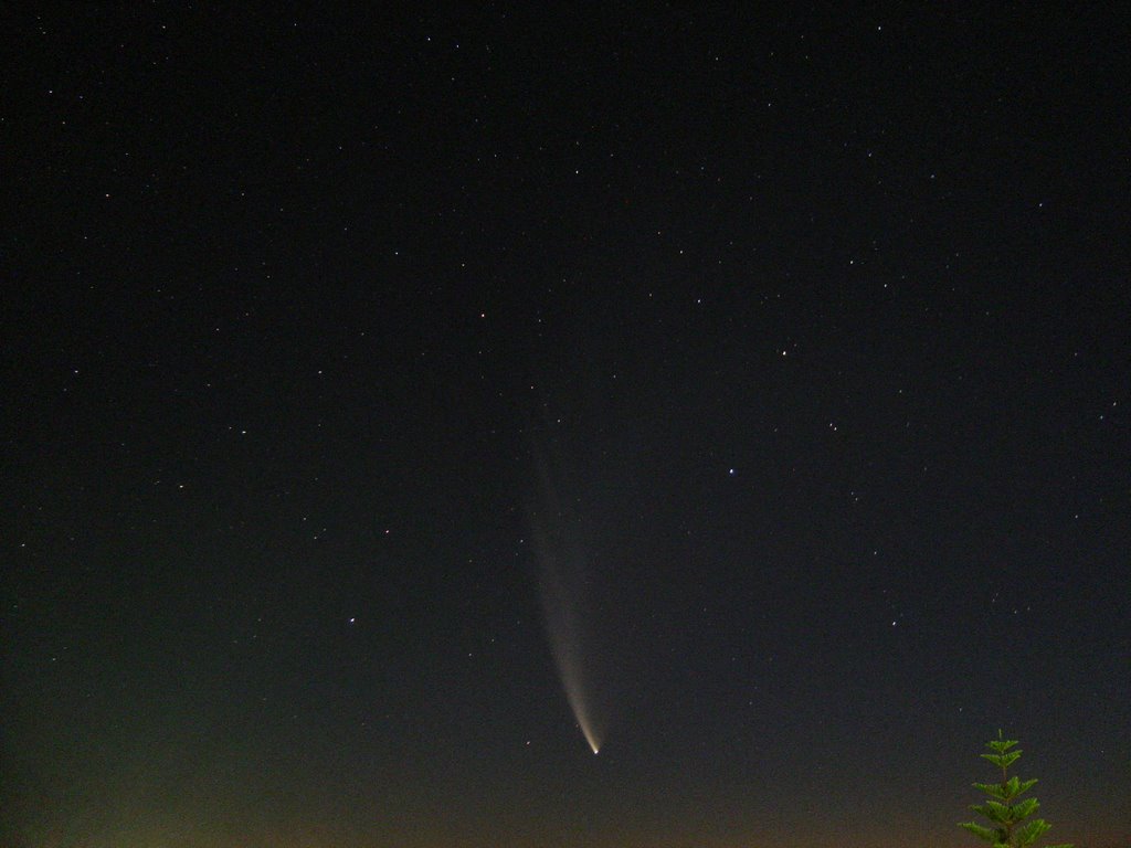 Comet McNaught viewed from Seaview by benkim