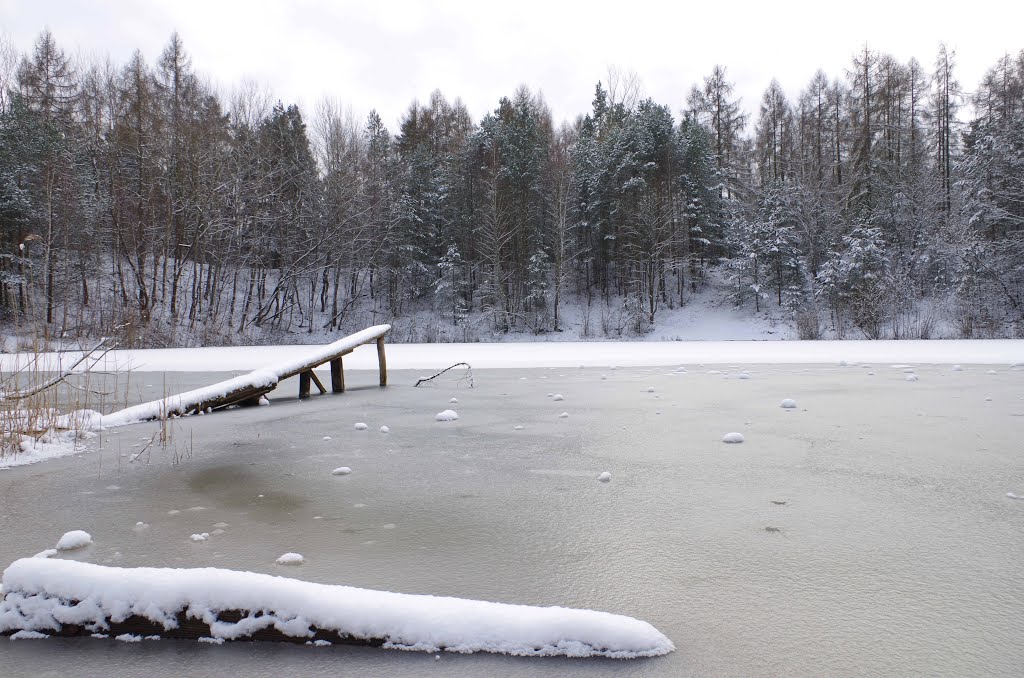 Frostiger Feuerlöschteich in Ferchland ⁂ + ❄ by ➨ sebastian ✌ 📷