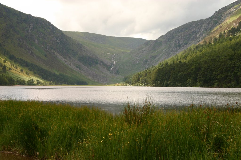 Near Powerscourt, County Wicklow by Paul Christiansen