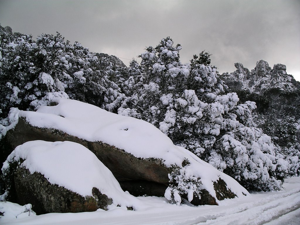 M. Ortobene snowy landskape by Massimiliano Oppo