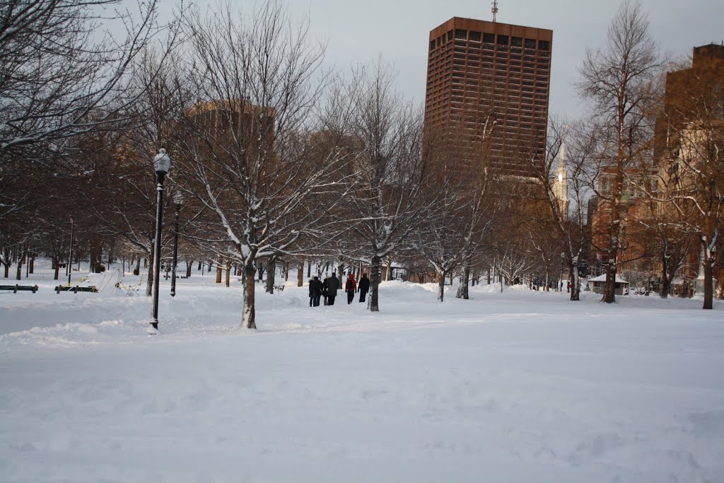 Boston Common by MementoMori