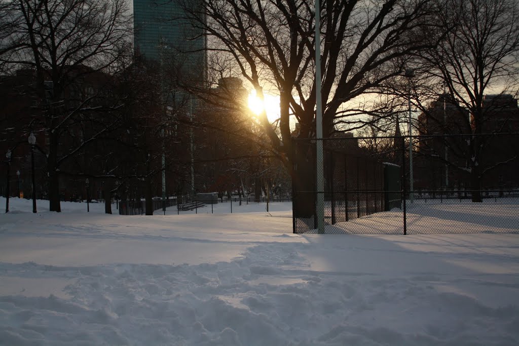 Boston Common by MementoMori