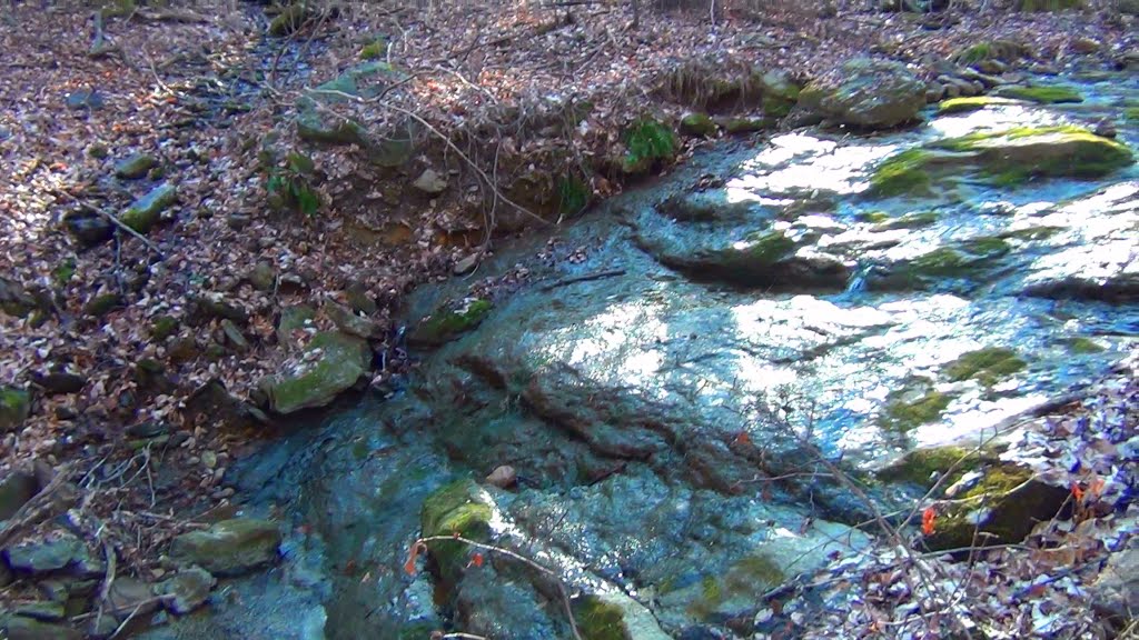 Wet Rock by Brock S.