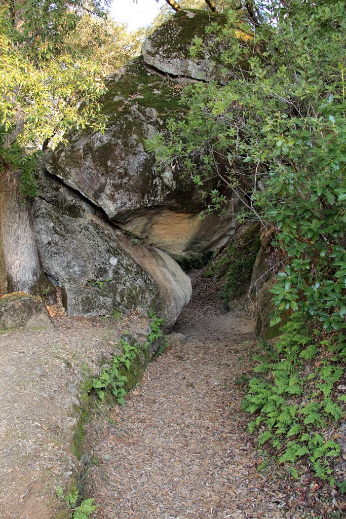 Under the boulder by M Rhodes