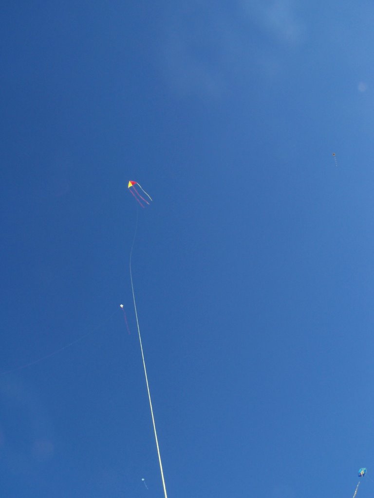 Kites 2, Vouliagmeni, Athens, Greece by Miša M.