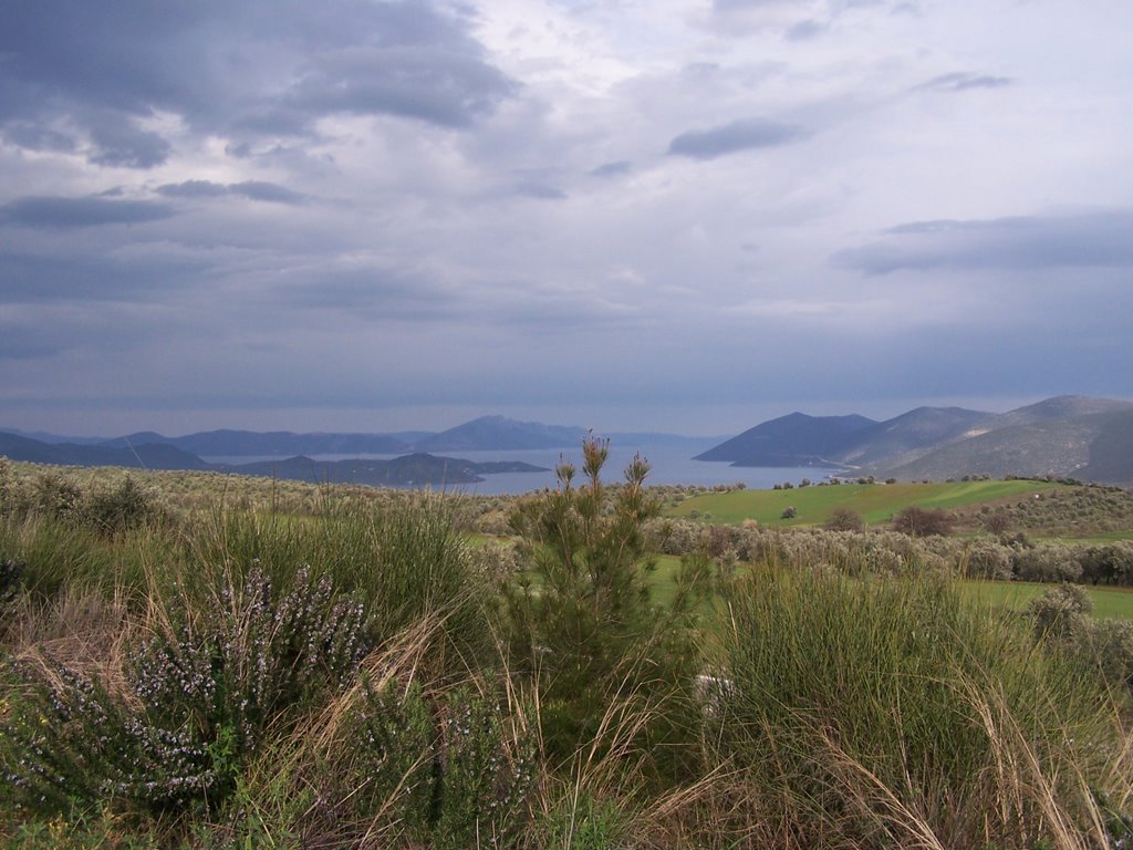 View to Skiathos, Greece by Miša M.