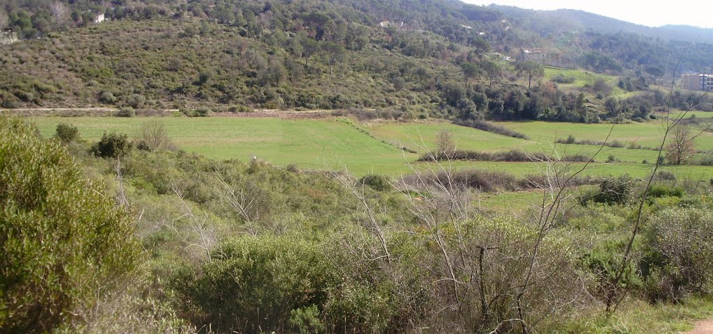 Vall de Sant Daniel (Girona) by klimmanet