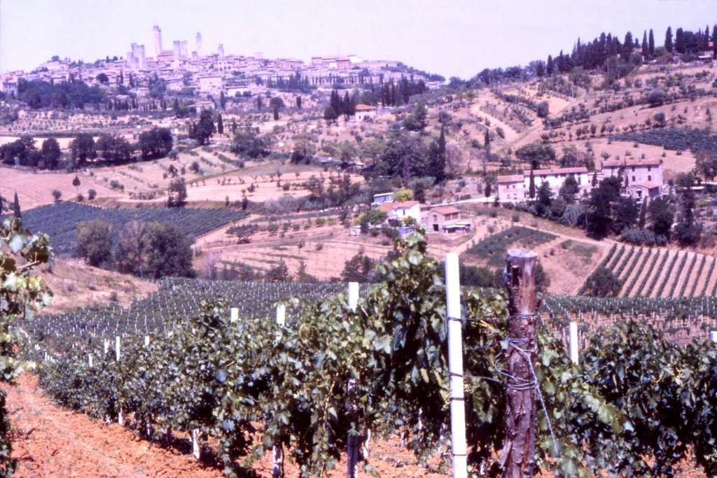 Cultural landscape of San Gimignano (SI) - Calcaric Cambisols by Centro Nazionale Car…