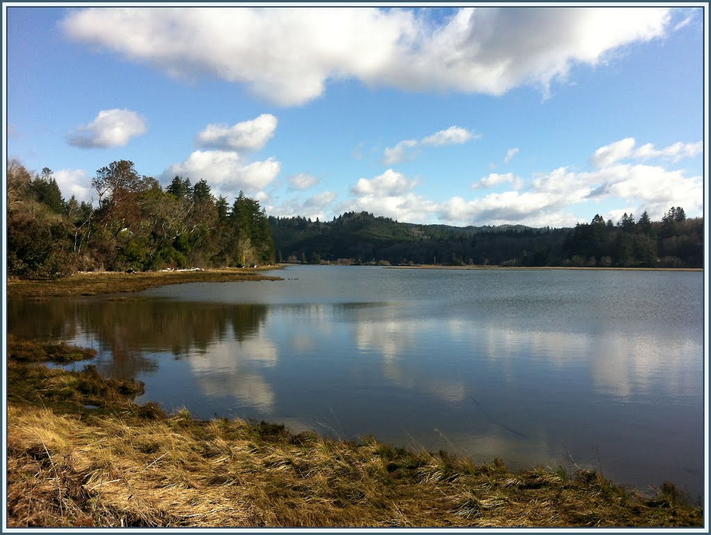 Haynes Inlet from Hollow Stump Lane (suz) by Suzi in Oregon