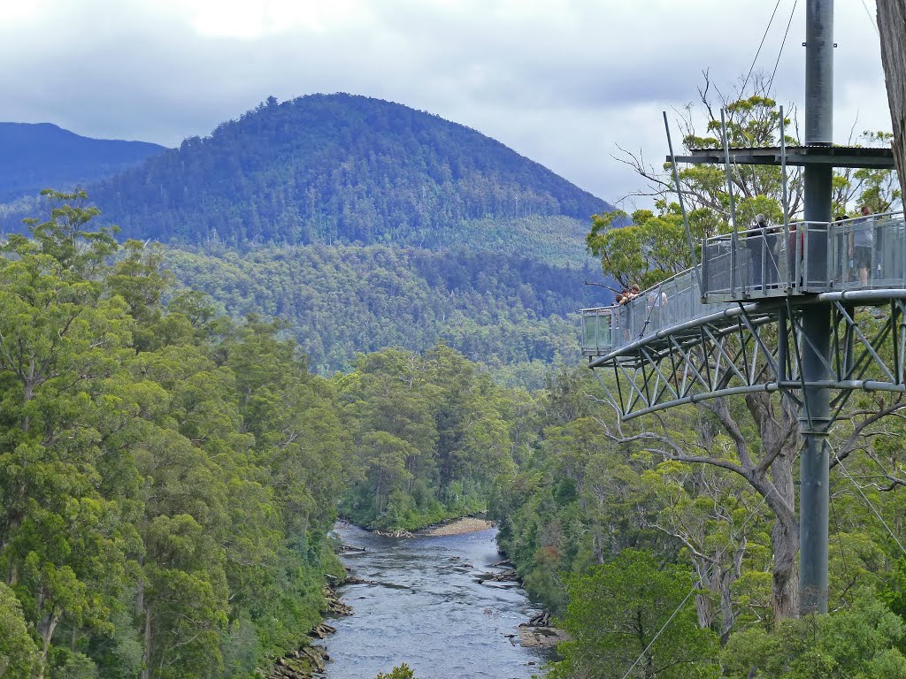 Tahune Airwalk near Geeveston, Tasmania, Australia by ronrainbow