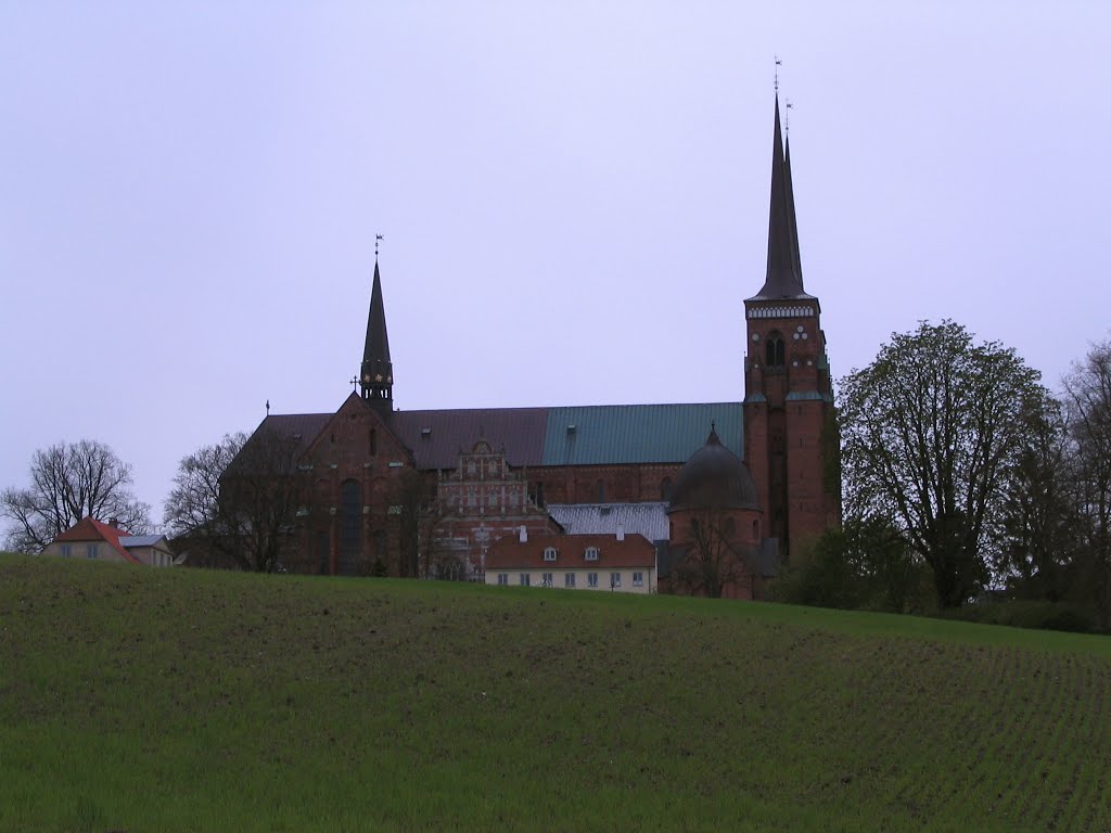 Roskilde by Sergey Samusenko