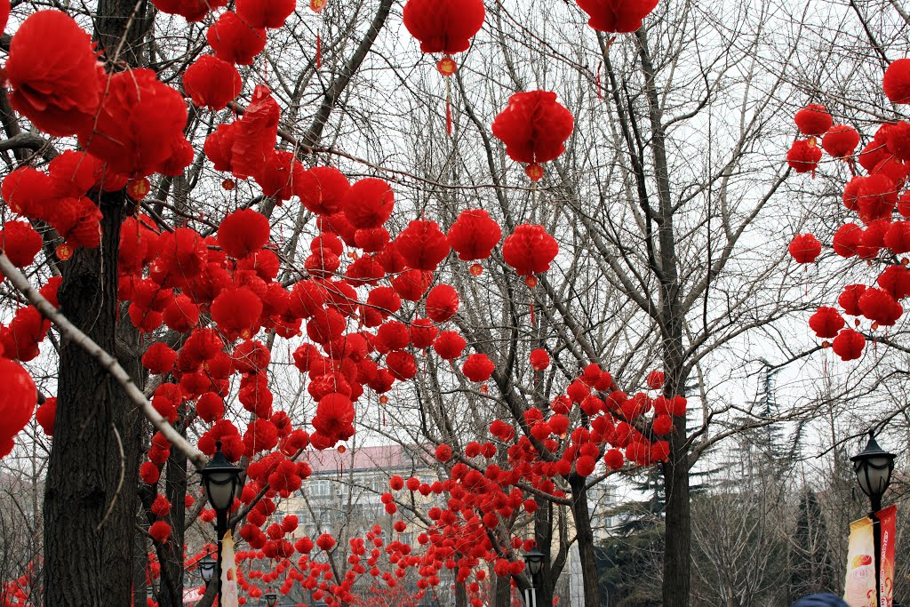 Walk path with Lanterns by Newerman