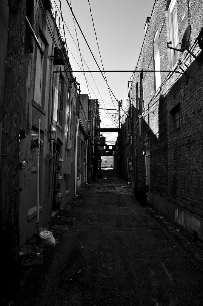 Tupelo Alley B/W by Daniel Schreurs