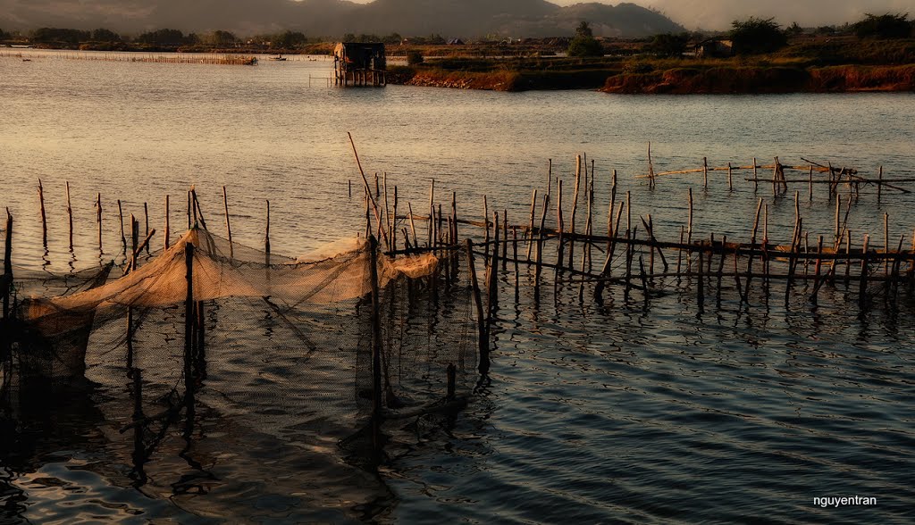 Vạt nắng cuối ngày - A piece of sunlight at the end of the day by nguyentran