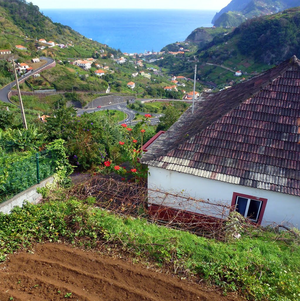 Madeira, Portugal by Maximovich Nikolay