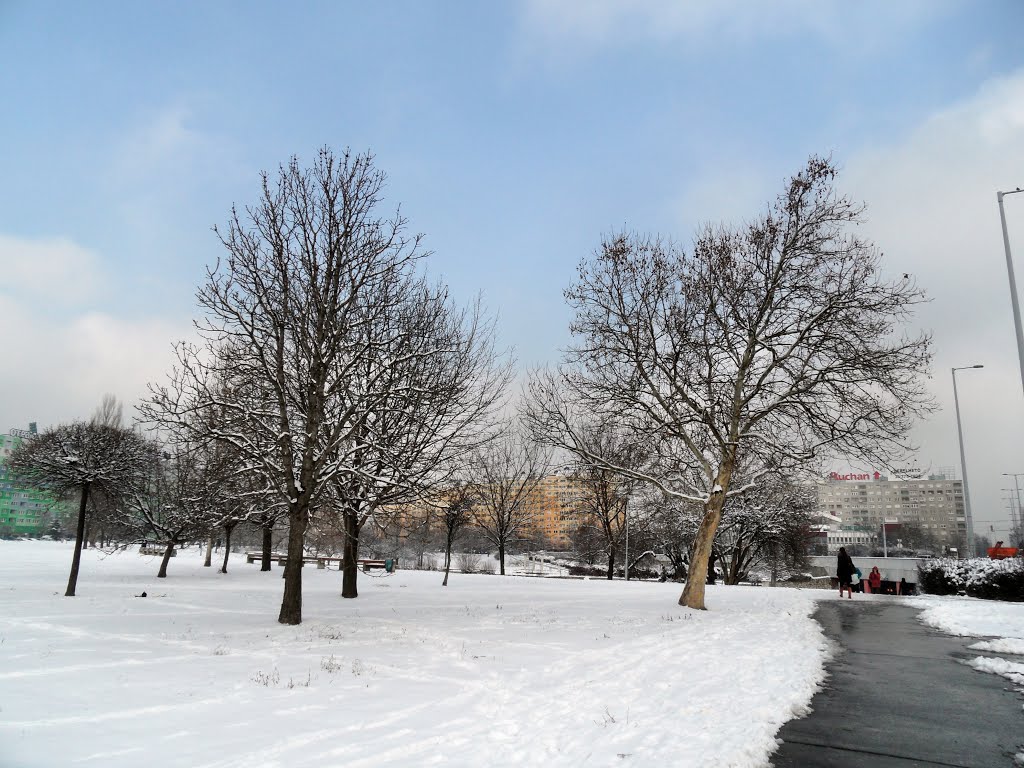 Budapest, Óbudai park by Lorant