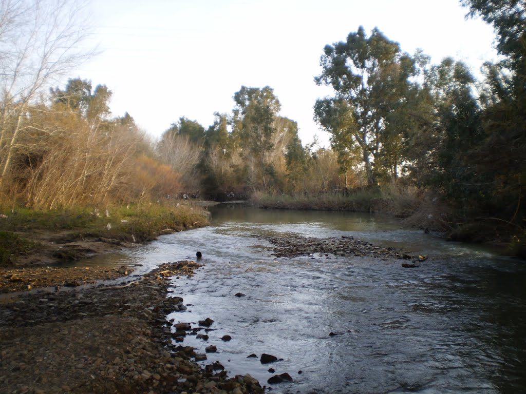 Río abajo by guadiato16