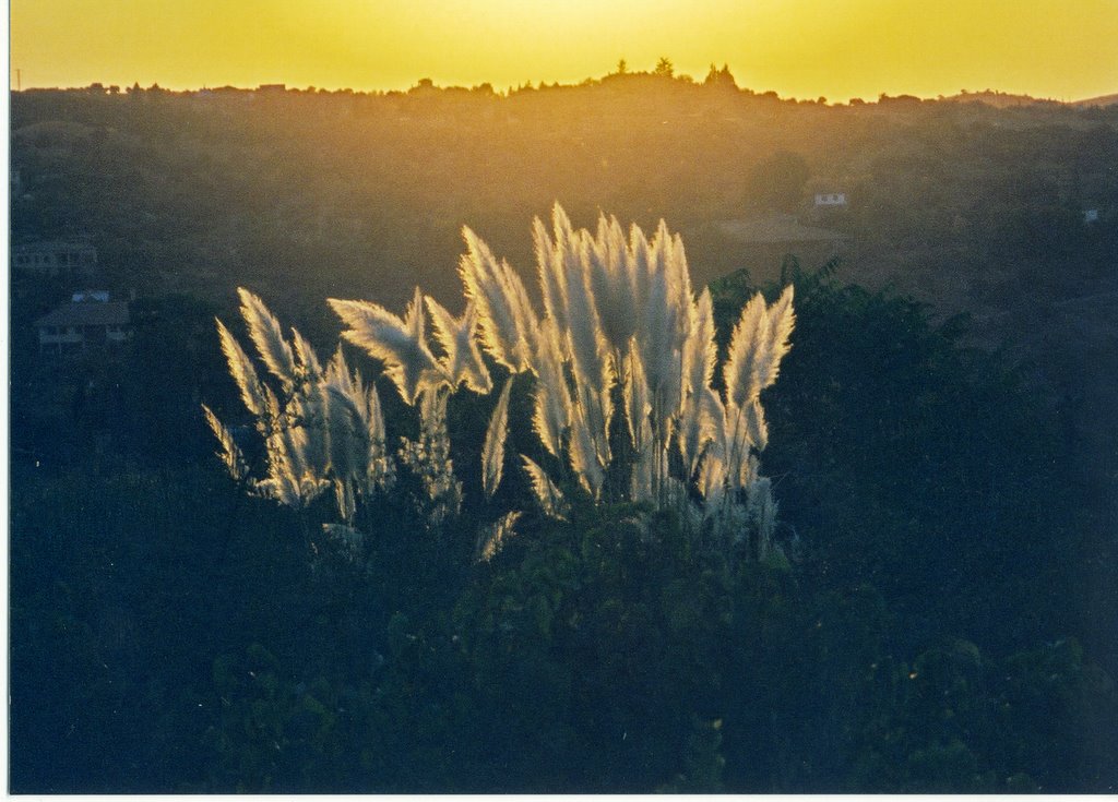 Toledo Parador, 2001? by Sarah Graham