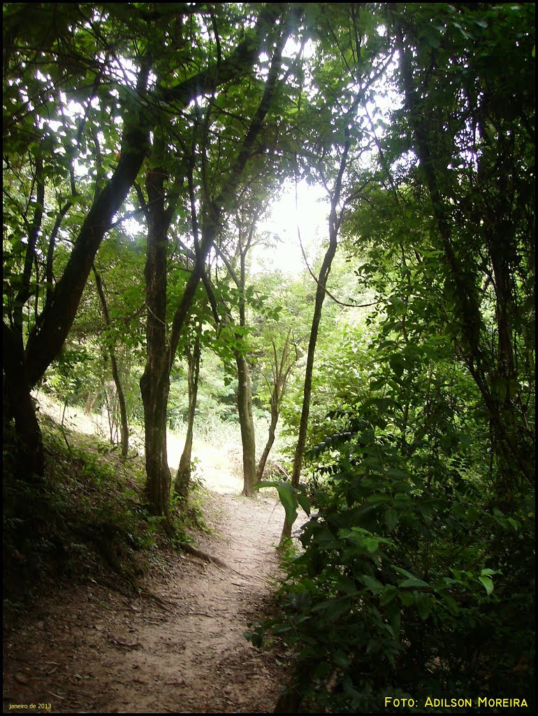 Parque Natural Municipal Ouro Fino - Foto: Adilson Moreira by adilson moreira