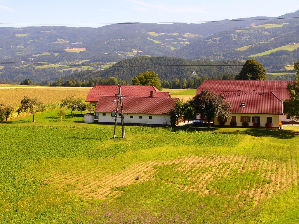 Kleine Ortschaft Leifling by Franz Kus.