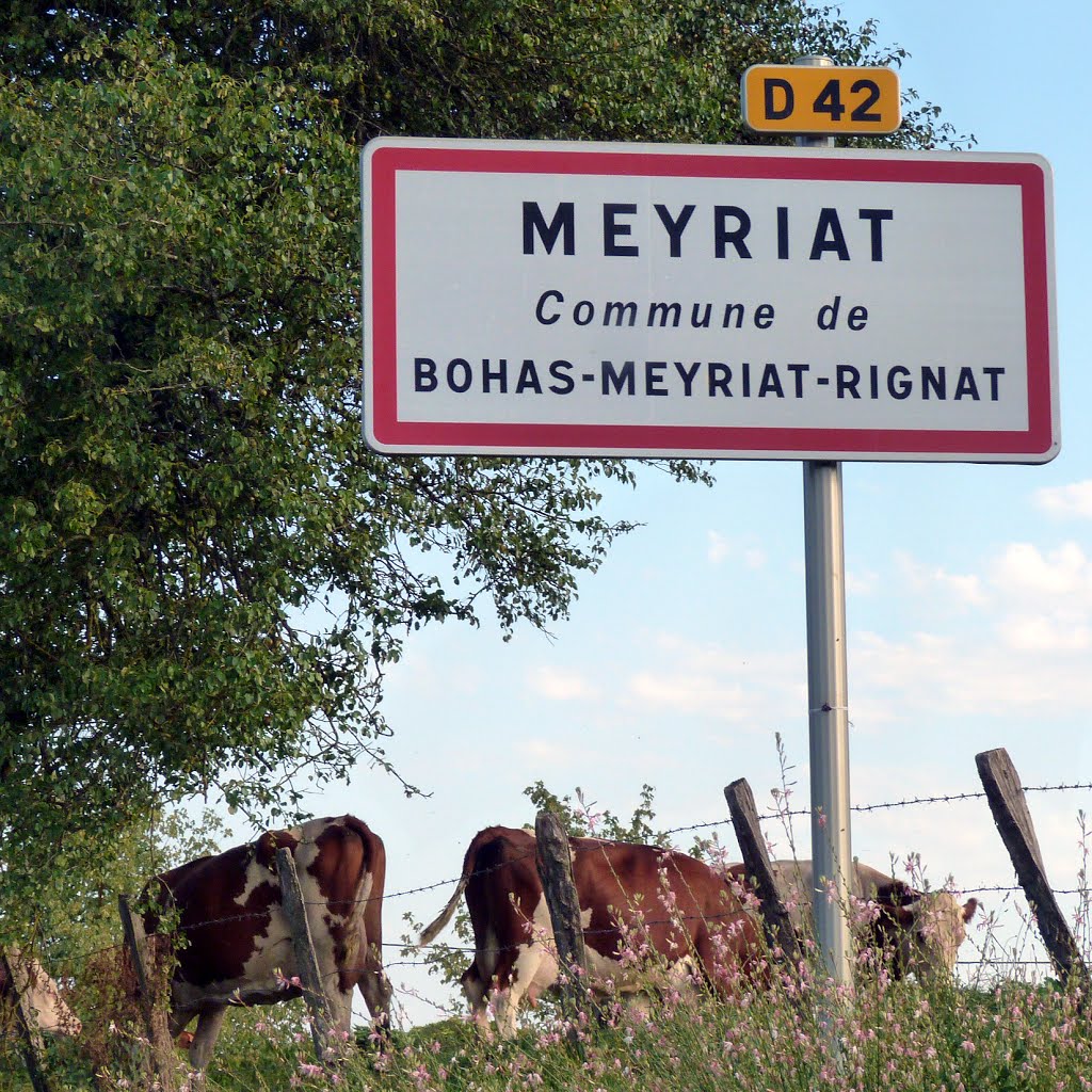 Entrée de Meyriat (Ain) by Alain TREBOZ