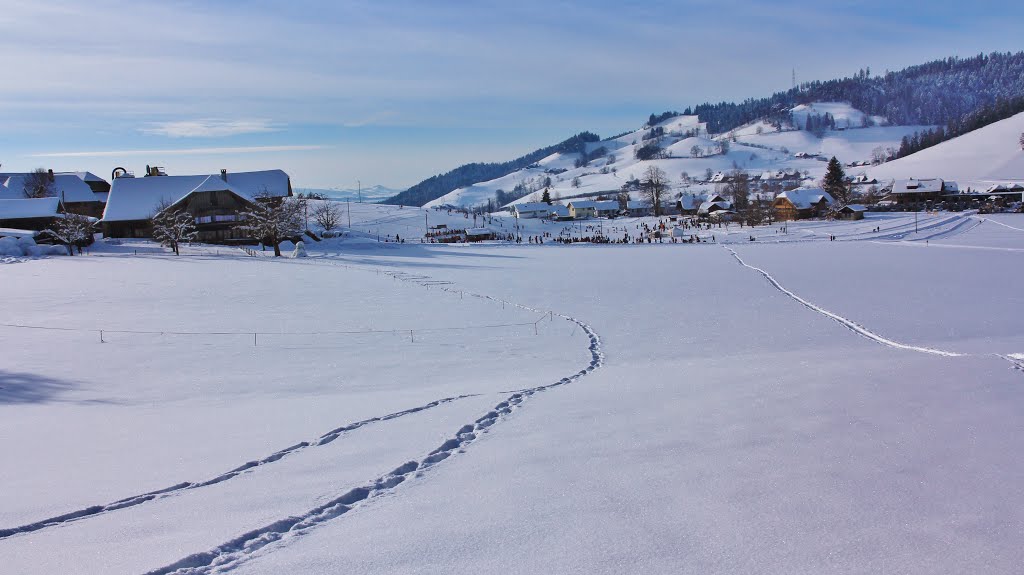 Linden in Emmental-Schöntalmatt by alfonso minoli