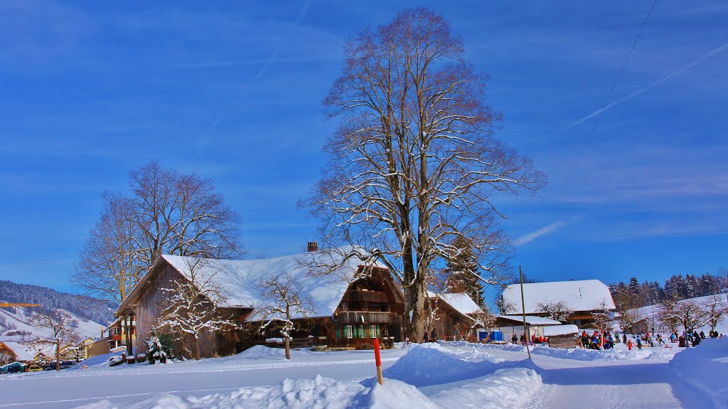 Linden in Emmental-Kreuzweg by alfonso minoli