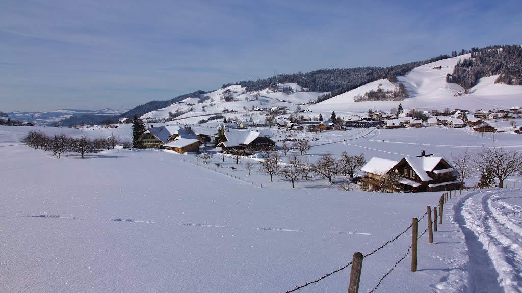 Linden in Emmental-Möslistutz by alfonso minoli