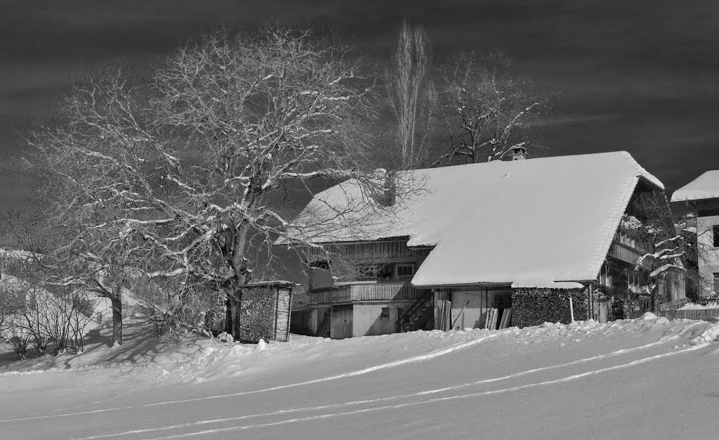 Linden in Emmental-Schöntalmatt by alfonso minoli