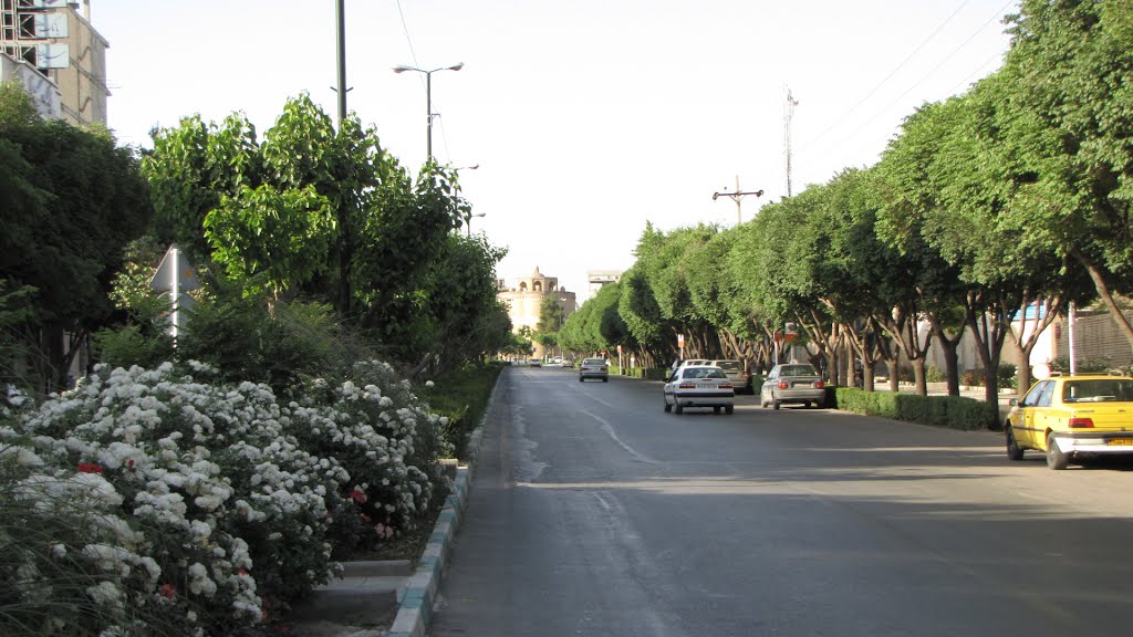 South Sheykh Sadoogh st. ,Isfahan,Iranخیابان شیخ صدوق جنوبی اصفهان،ایران by Gholamreza.Khajehali