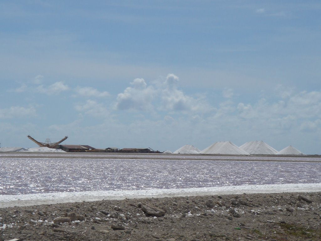 Bonaire zoutpannen by Marga van Rijssel