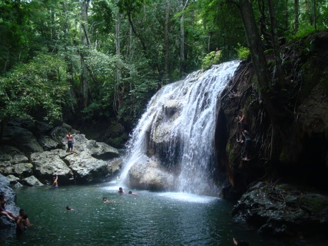 Finca el paraiso by edwinslopezm