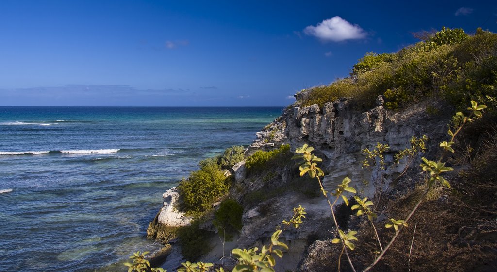 Cliff on the north shore of Grand Turk by Phil Comeau