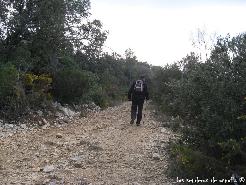 Camino hacia Mont-ral, por Serra Llarga by Los senderos de osnofla