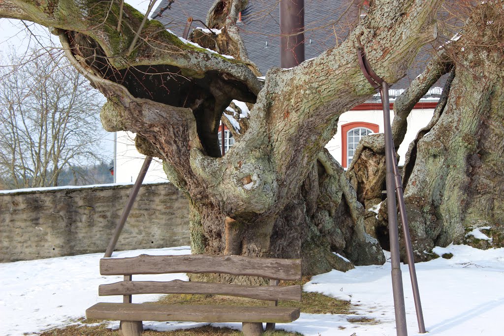 KE - Kirche Reinborn , Naturdenkmal 1000-jährige Linde by Karl Eggenmüller-Panoramio, the only way for 