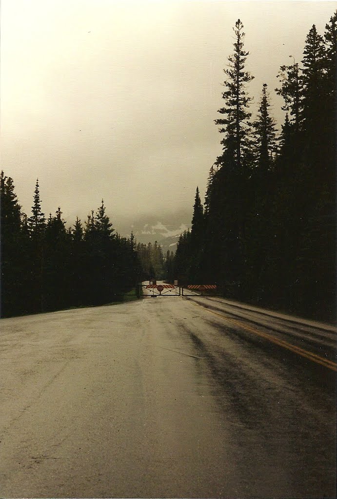 Road Closed Because Of Snow. June. by rutschke.jr