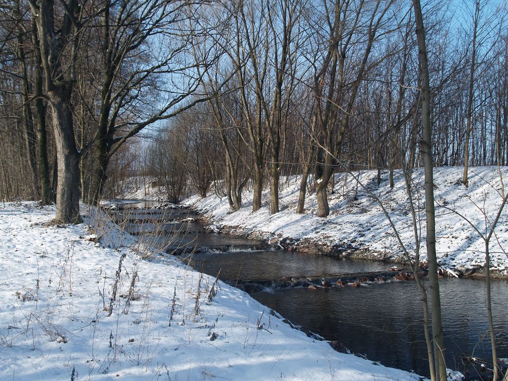 Neue Fischtreppe an der Holtemme by HARRY SÖLL