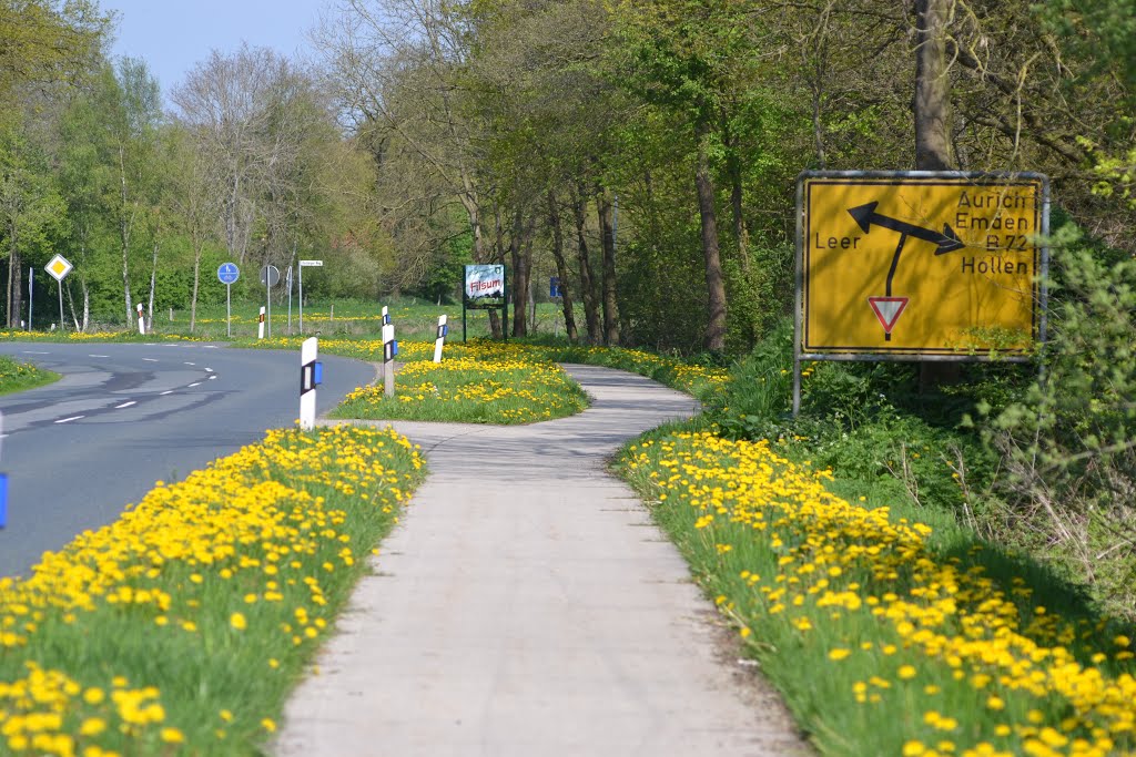 Gelbe Radweg - Einfassung by manfred-b.