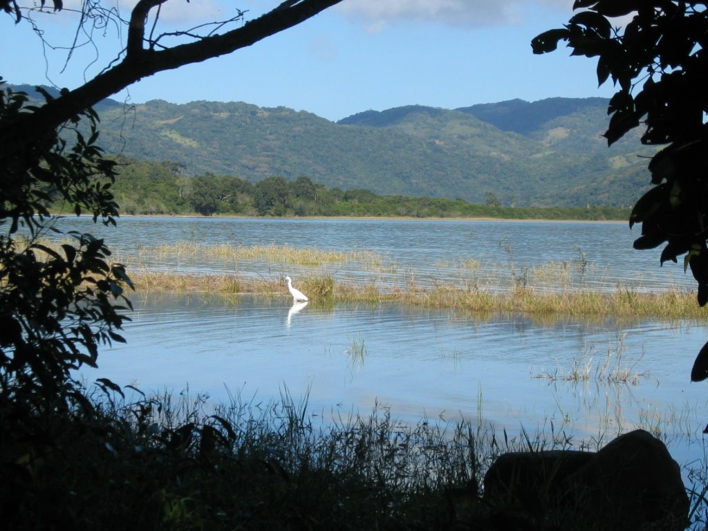 PARQUE DA LAGOA DO PERI - FLORIANÓPOLIS S.C. BRASIL by Cibils Fotojornalism…