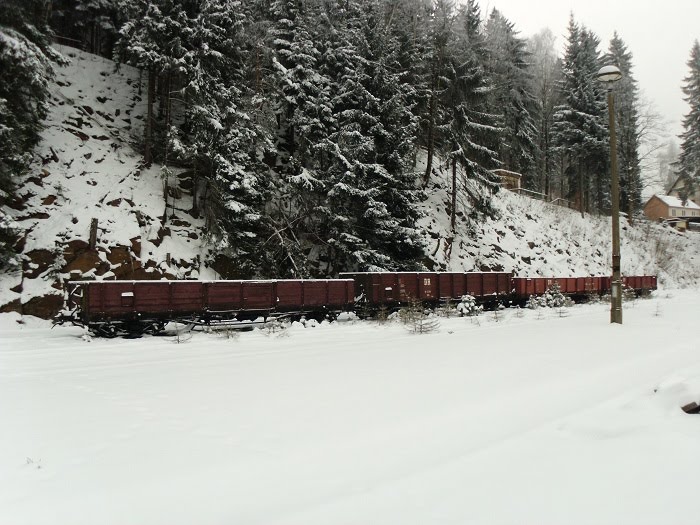 Abgestellte Güterwagen der Weißeritztalbahn im Bahnhof Kipsdorf by Henning Gierth