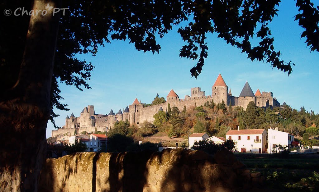 Carcassonne: Torres y almenas by CharoPTorrego