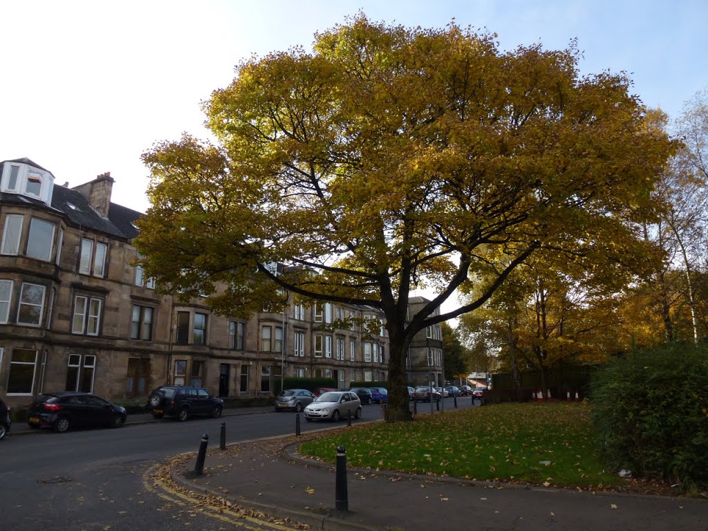 Underwoog rd, paisley by Kingdavidofscotland