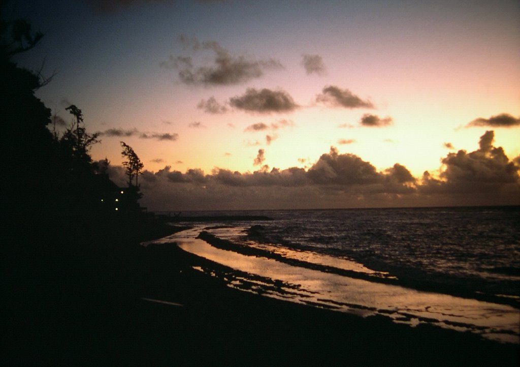 Evening near Coconut Plantation, Kauai by ceheber