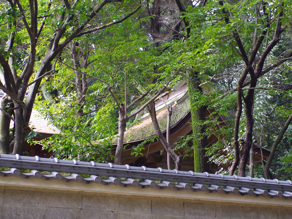 大杜御祖神社本殿 寝屋川市高宮2丁目 2013.2.13 by as365n2