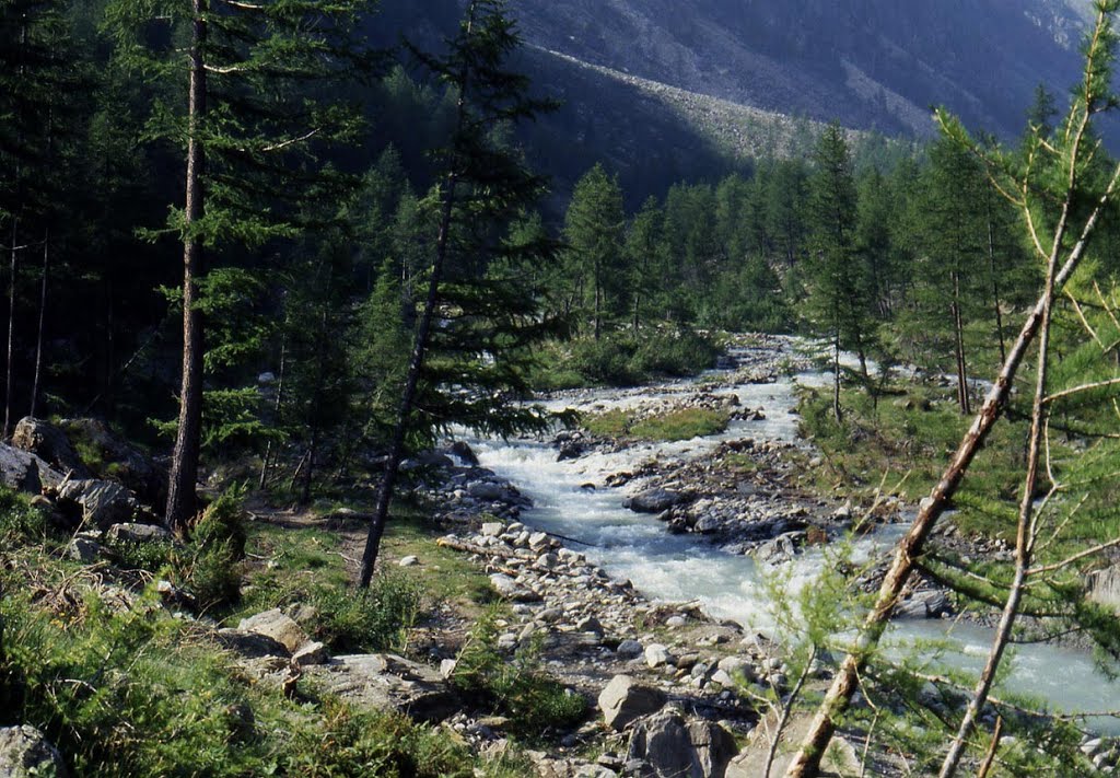 Val di Gogne, Park Gran Paradiso, Italië by Thysen Jean