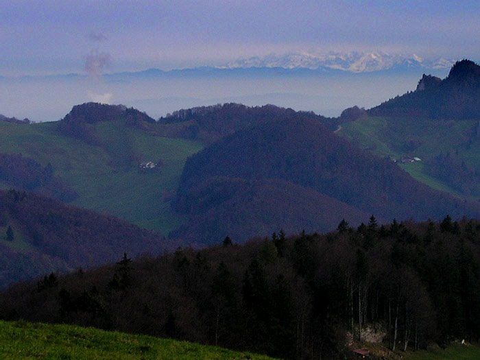 Zwischen Chellenchöpfli und Waldweid, November 2006 by basis104