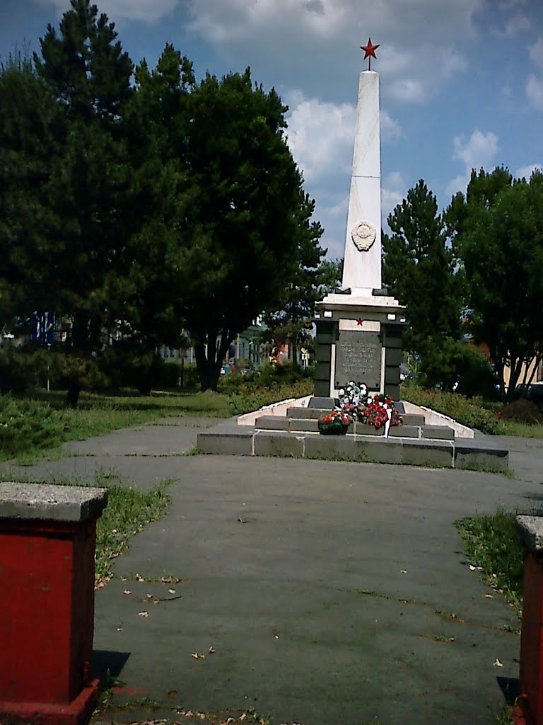 Pomník v Lučenci / Monument in Lučenec by Denis Ondriškovič